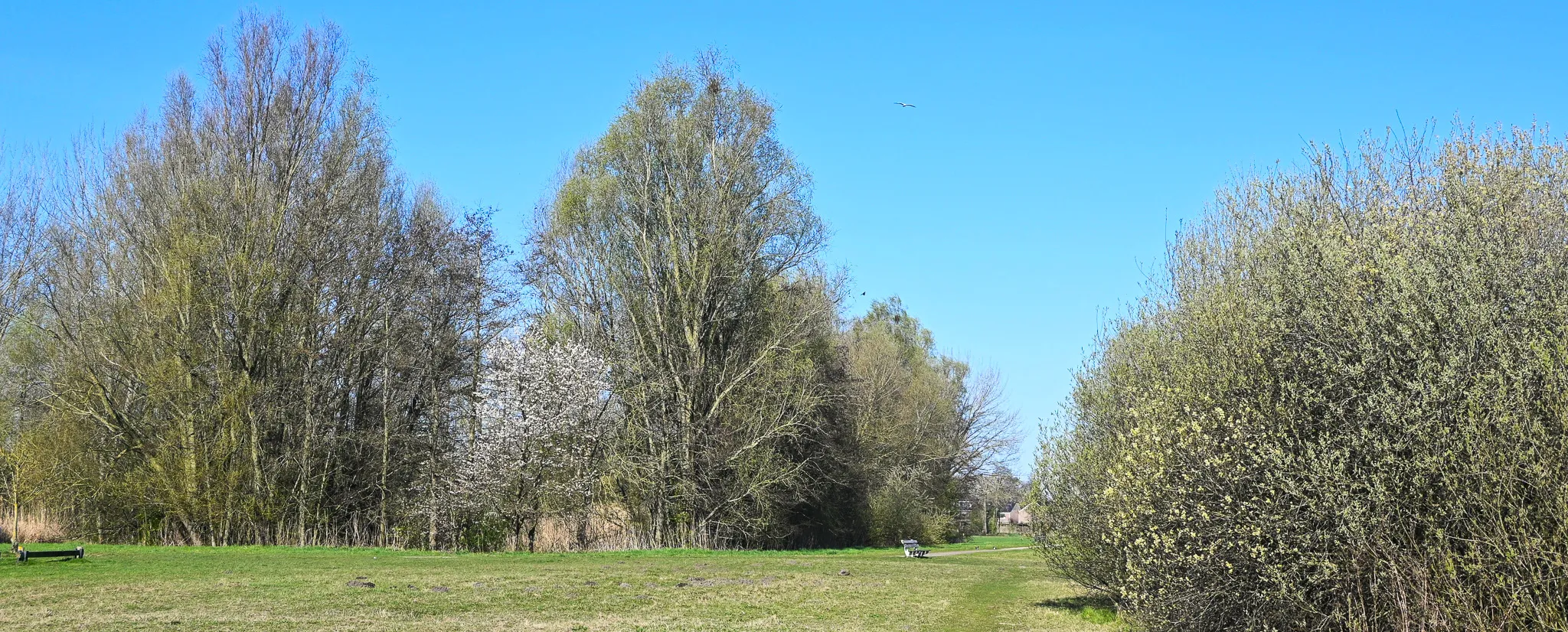 ’t Veld IJsselstein
