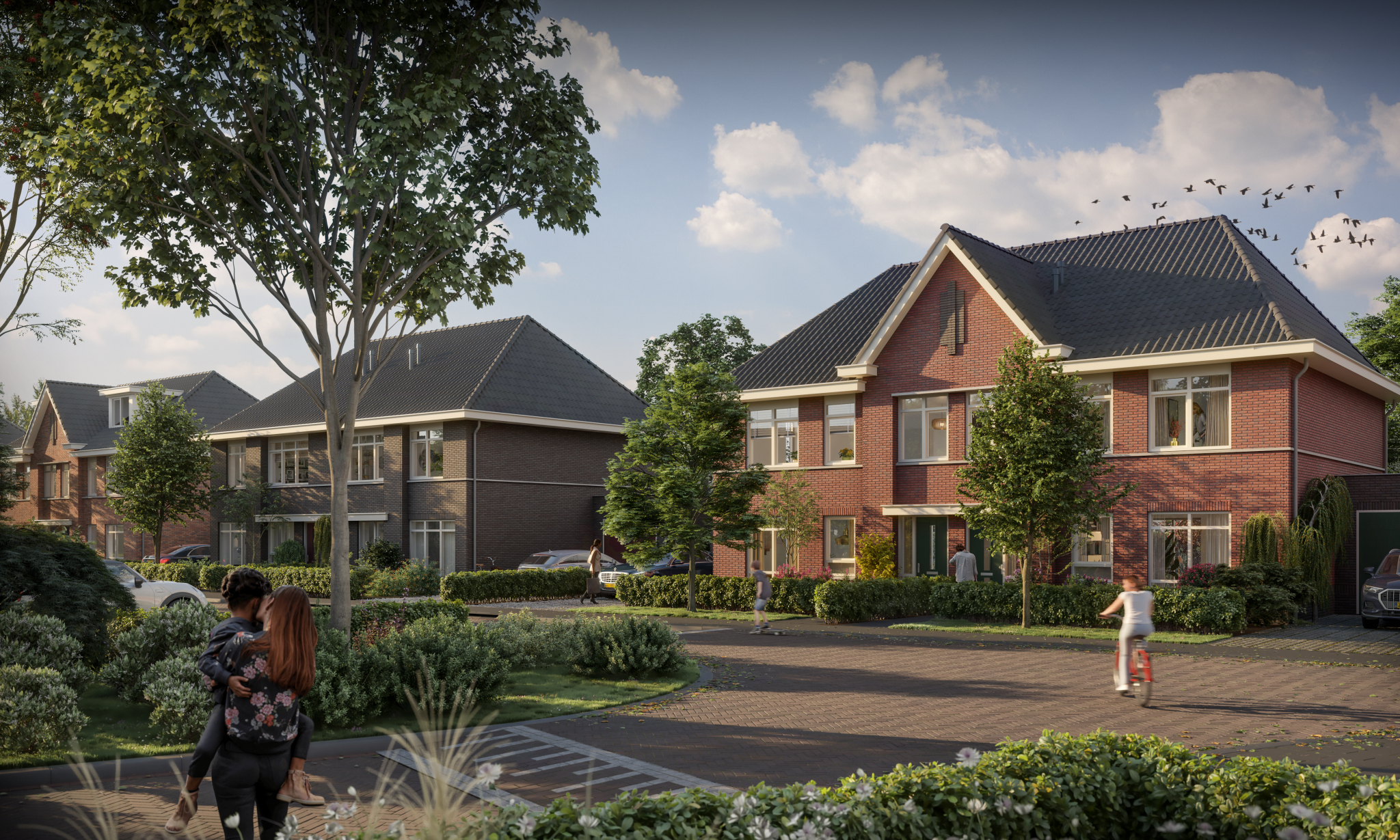 Nieuw Eilands' Eigen