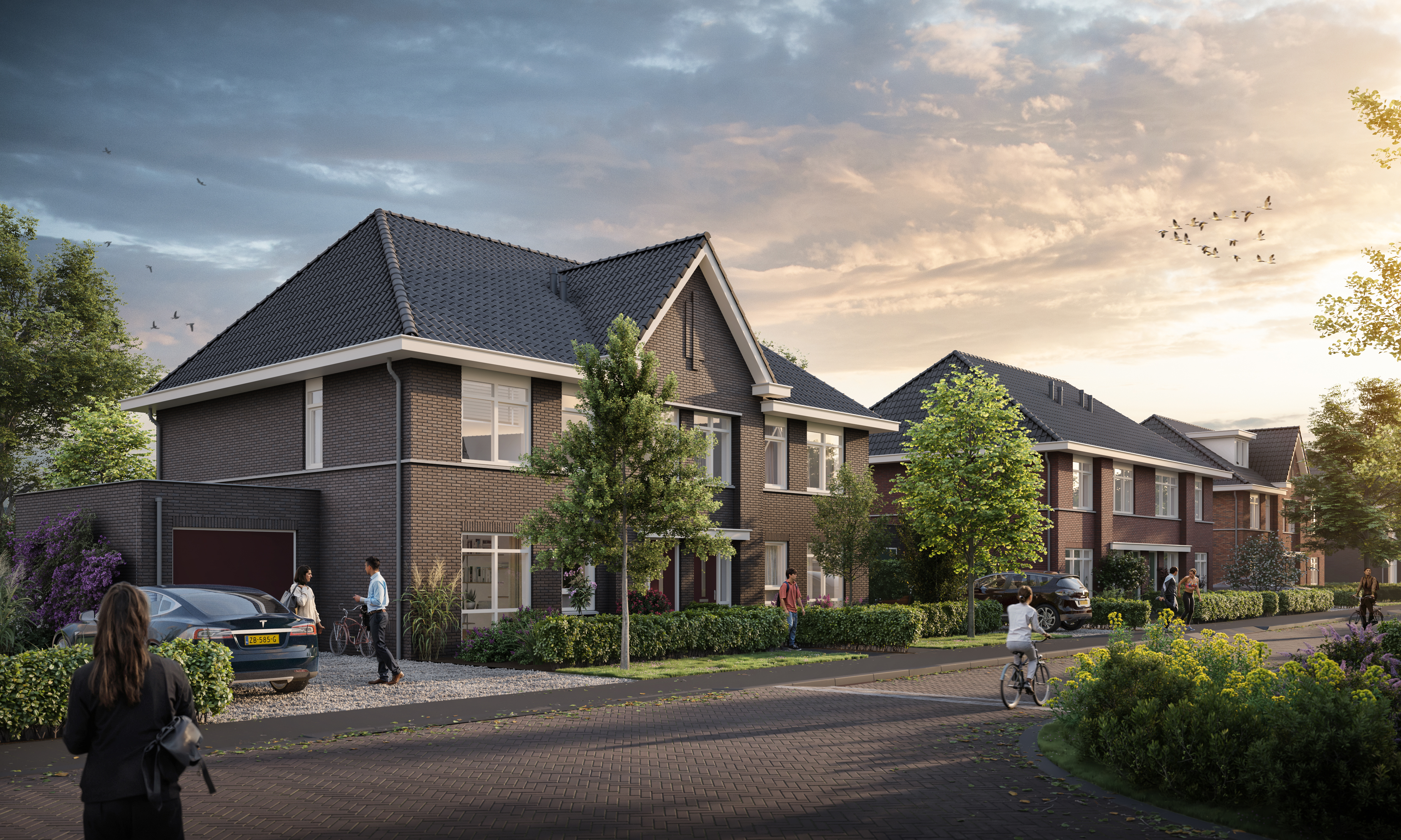Nieuw Eilands' Eigen
