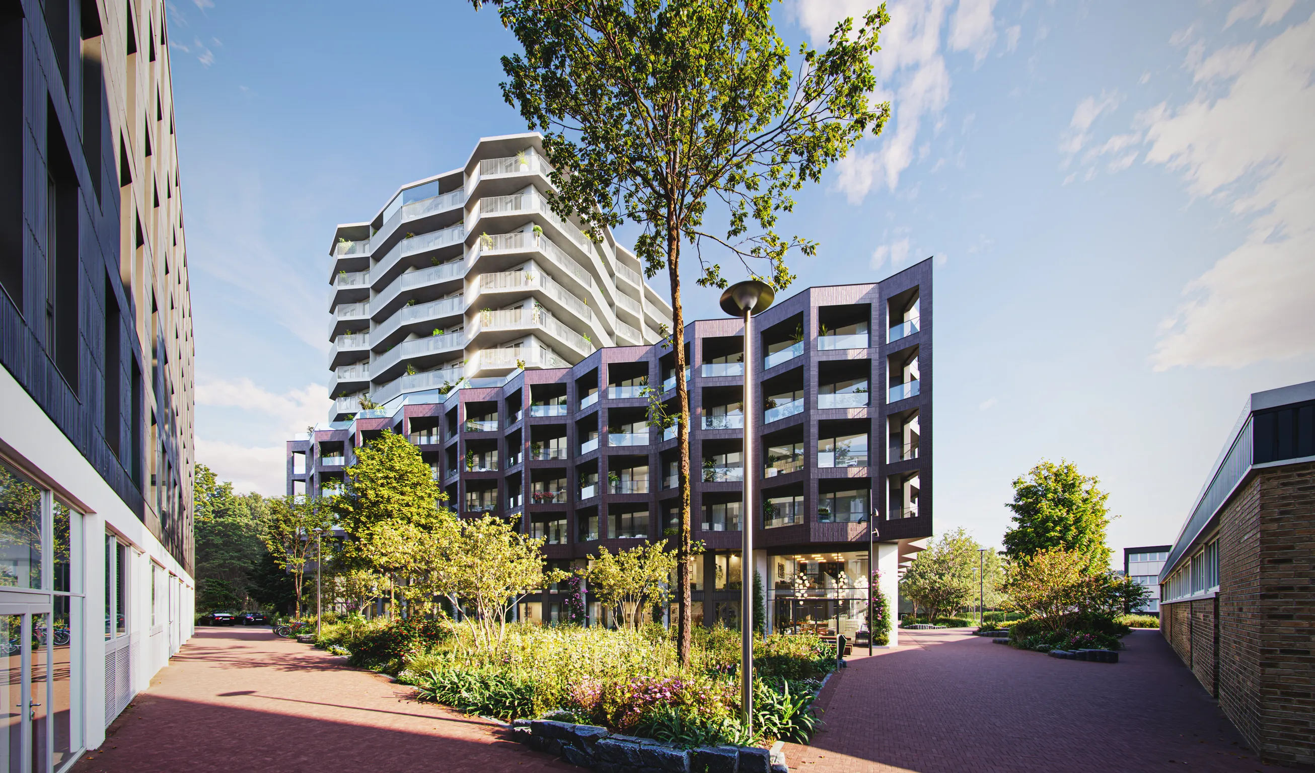 BRILJANT12